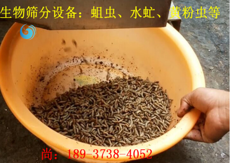 蛆虫筛选3层秋葵APP官方入口下载免费版